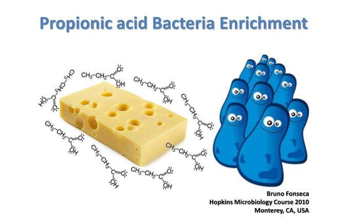  Axit propionic: Tính chất và ứng dụng